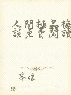 人间极品梅姨小说免费阅读