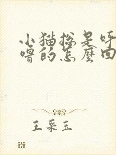 小猫总是呼噜呼噜的怎么回事