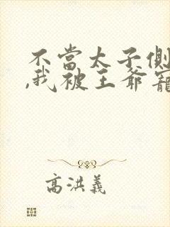 不当太子侧妃后,我被王爷宠成宝短剧全集封面