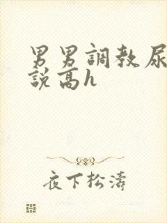 男男调教尿道小说高h封面