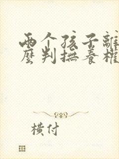 两个孩子离婚怎么判抚养权