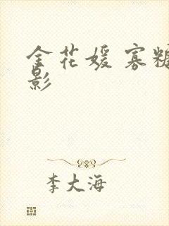 金花媛 寡糖电影封面