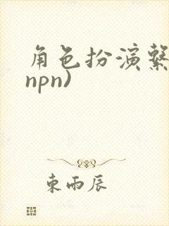 角色扮演系统(npn)