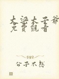 大梁太子爷短剧免费观看