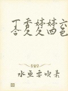 丁香婷婷六月综合久久四色