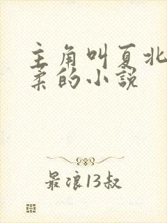 主角叫夏北许馨柔的小说封面