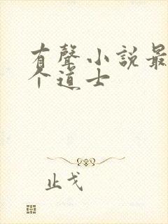 有声小说最后一个道士