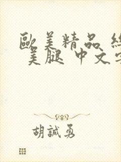 欧美精品 丝袜 美腿 中文字幕