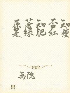 原著知否知否应是绿肥红瘦