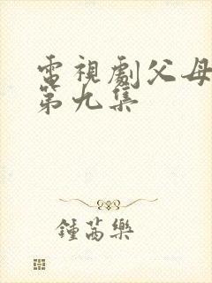 电视剧父母爱情第九集封面