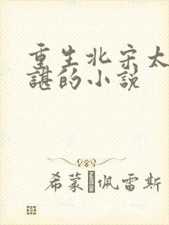 重生北宋太子赵谌的小说