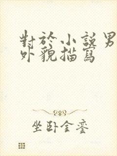 对于小说男主的外貌描写