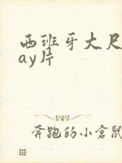 西班牙大尺度gay片