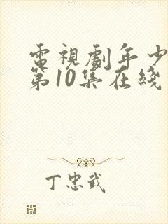 电视剧年少有为第10集在线观看封面