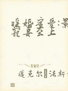 暖婚蜜爱:景少宠妻至上