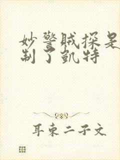 妙警贼探是谁控制了凯特