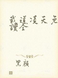 武道凌天免费阅读全