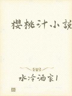 樱桃汁小说
