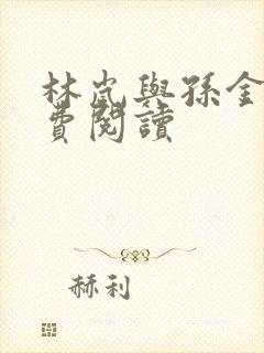 林岚与孙金哲免费阅读