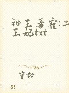 神王毒宠:二嫁王妃txt
