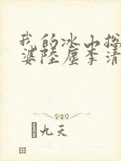 我的冰山总裁老婆陆尘李清瑶