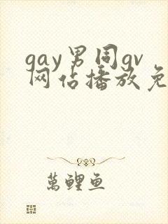 gay男同gv网站播放免费