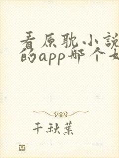 看原耽小说免费的app哪个好