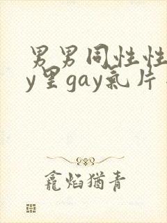 男男同性性gay里gay气片网站