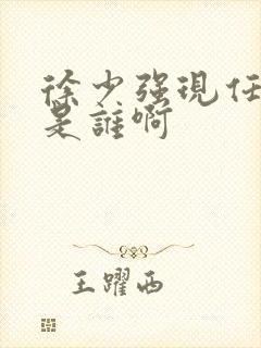 徐少强现任妻子是谁啊封面