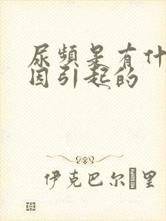 尿频是有什么原因引起的封面