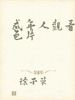 成年人观看的黄色片