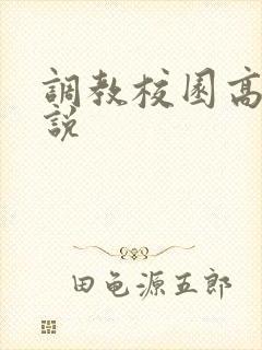 调教校园高h小说封面