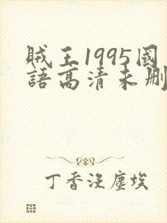 贼王1995国语高清未删减版137分钟免费观看封面