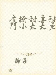 夜撩甜妻秘爱豪门小太太免费阅读封面