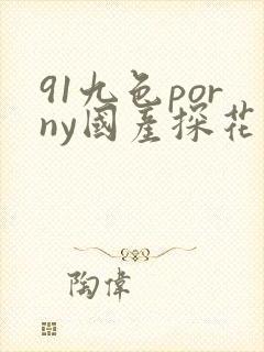 91九色porny国产探花封面