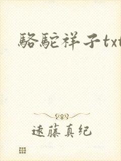 骆驼祥子txt