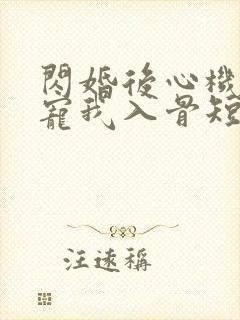 闪婚后心机老公宠我入骨短剧封面