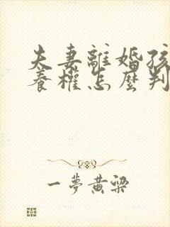 夫妻离婚孩子抚养权怎么判定2022年封面