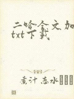 二哈全文加番外txt下载