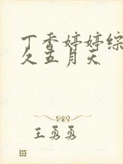 丁香婷婷综合久久五月天封面