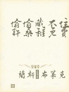 偷偷藏不住段嘉许桑稚免费阅读