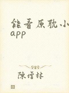 能看原耽小说的app封面