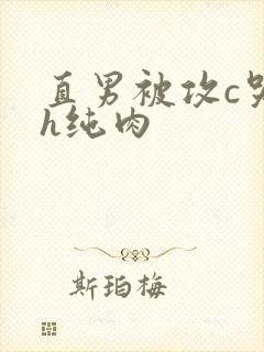 直男被攻c哭高h纯肉封面