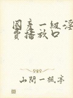 国产一级淫片免费播放口