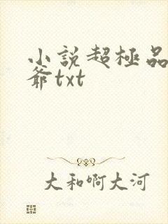 小说超极品万岁爷txt