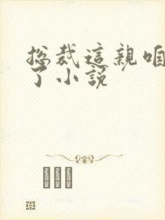 总裁这亲咱别相了小说