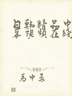 日韩精品中文字幕视频在线播放