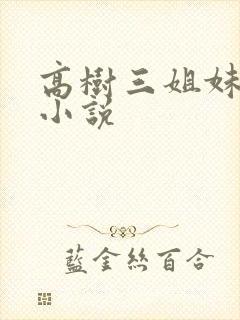 高树三姐妹有声小说封面