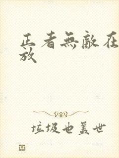 正者无敌在线播放封面