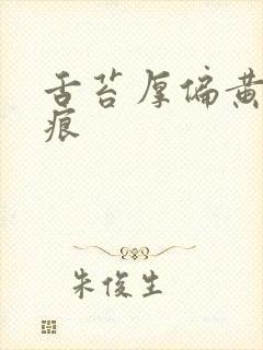 舌苔厚偏黄有齿痕